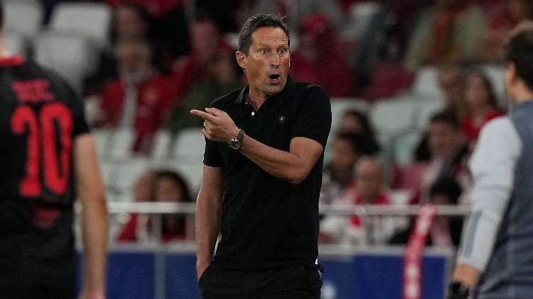 Roger Schmidt ist fassungslos.