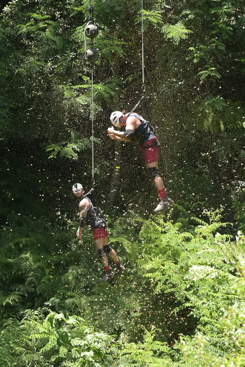 3d4f8fd5-1c71-4510-852a-bf6dae9038e9-5774ab23-a350-4404-b30d-9a091eb8524e