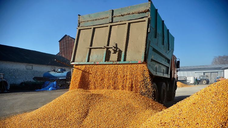 Durch Russlands Blockade des Schwarzen Meeres wird die Getreide-Ausfuhr für die Ukraine immer schwieriger.