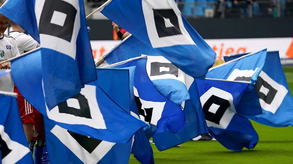 HSV-Fahnen-werden-vor-dem-Spiel-auf-dem-Feld-geschwenkt