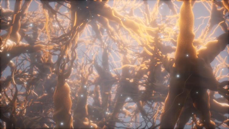 Computergrafik des Neuronen-Netzwerks im Gehirn: Mediziner hoffen, mit Stoßwellen das Fortschreiten der Alzheimer-Erkrankung beeinflussen zu können.