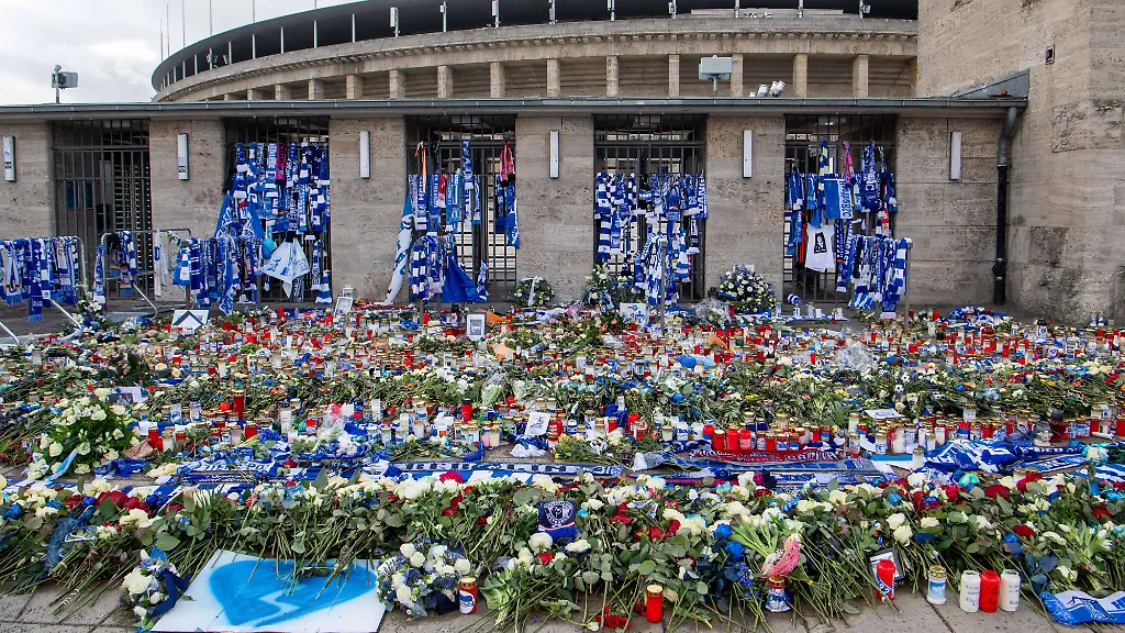 bc2dc497b69314cdf7c36cbabe8ee29f