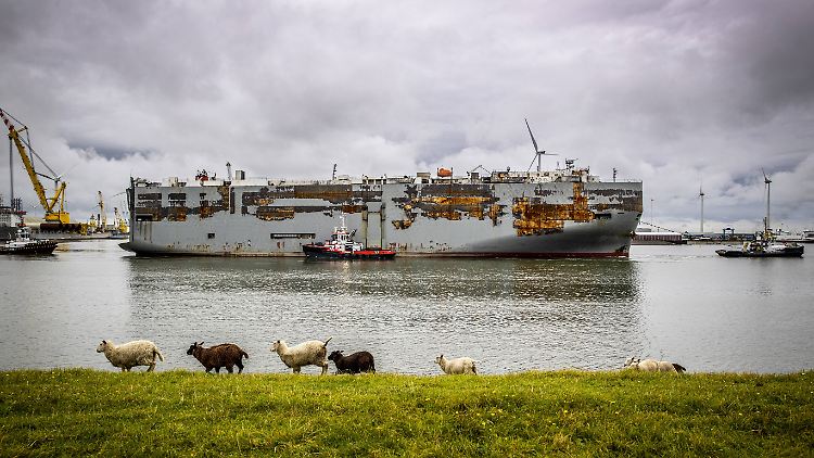 Seit Donnerstag war die "Fremantle Highway" von ihrem Liegeplatz in Eemshaven unterwegs nach Rotterdam.