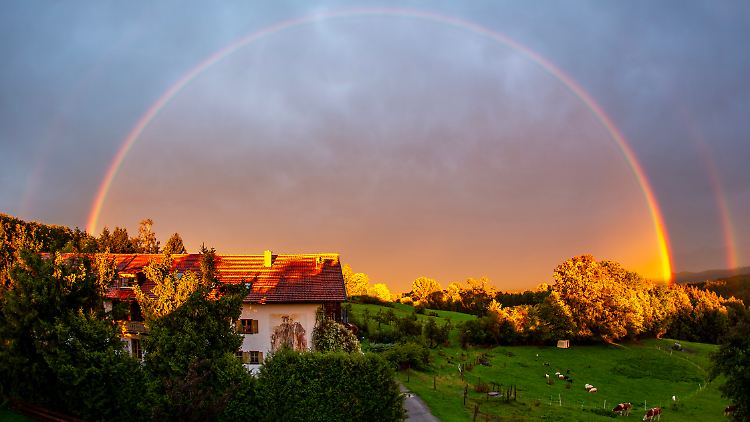 Vor dem Altweibersommer gibt es zunächst ein Herbst-Stelldichein.