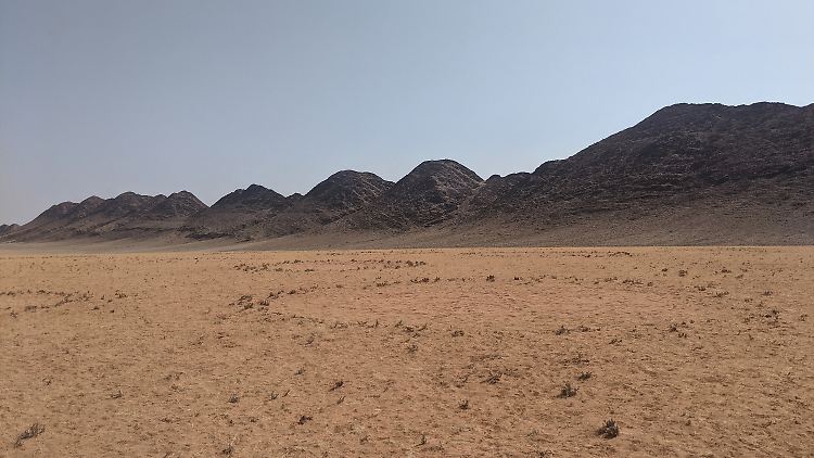 Detail von Feenkreisen in der sandigen Landschaft West-Namibias.