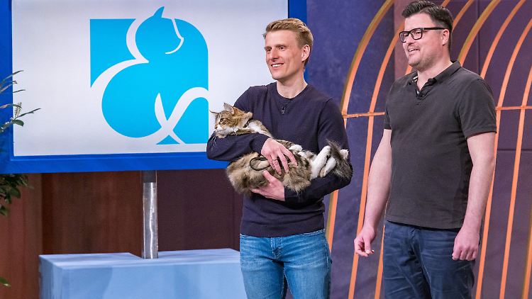 Manchmal helfen sogar Katzen nicht weiter: die "Cloou"-Gründer Michael Scholz (l.) und Jan Hrdina.