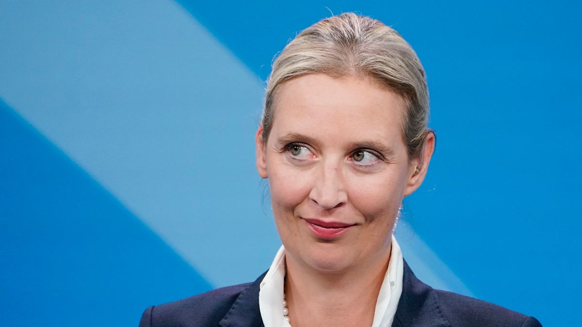 Generaldebatte im Bundestag: Alice Weidel bezeichnet Recherchen zu ...