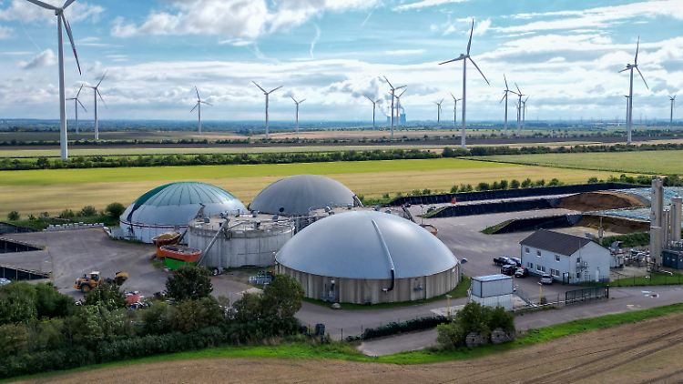 Biogas könnte bei der Energieerzeugung eine Alternative sein, wenn nicht die Genehmigungsverfahren so lange dauern würden, klagt ein Verband.