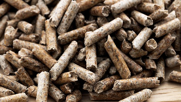Sollen nach Ansicht von Bauministerin Geywitz stärker gefördert werden: Pellets und die dazugehörigen Heizungen. 