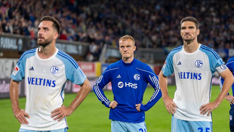 Verdienen es Kenan Kamaran (v.l.), Niklas Tauer und Marcin Kaminski nicht, das Schalker Trikot zu tragen?