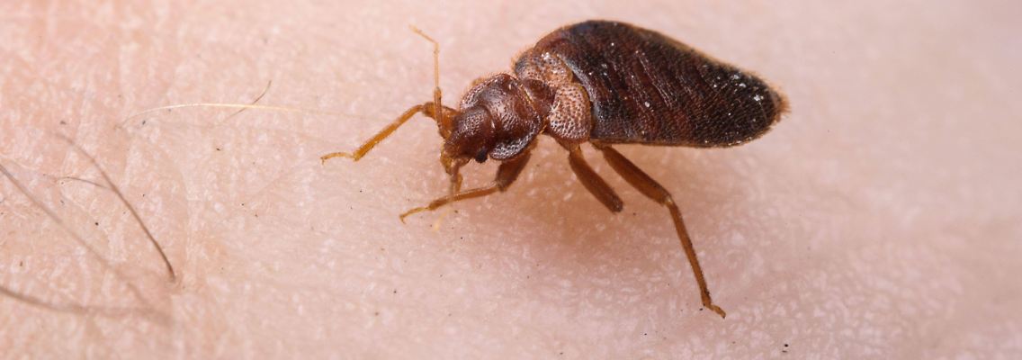 imago161238473.jpg
