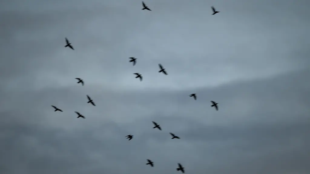 Die-neue-Woche-beginnt-in-Rheinland-Pfalz-und-dem-Saarland-wolkig-aber-weitgehend-niederschlagsfrei