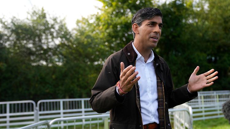 Der britische Premierminister Rishi Sunak will die Autofahrer auf seine Seite bekommen.