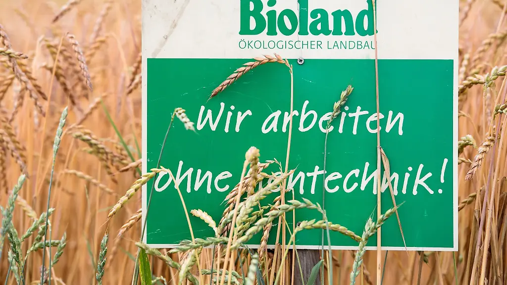 Die-EU-Plaene-fuer-gelockerte-Vorgaben-bei-Gentechnik-treiben-Landwirte-in-Thueringen-auf-die-Barrikaden