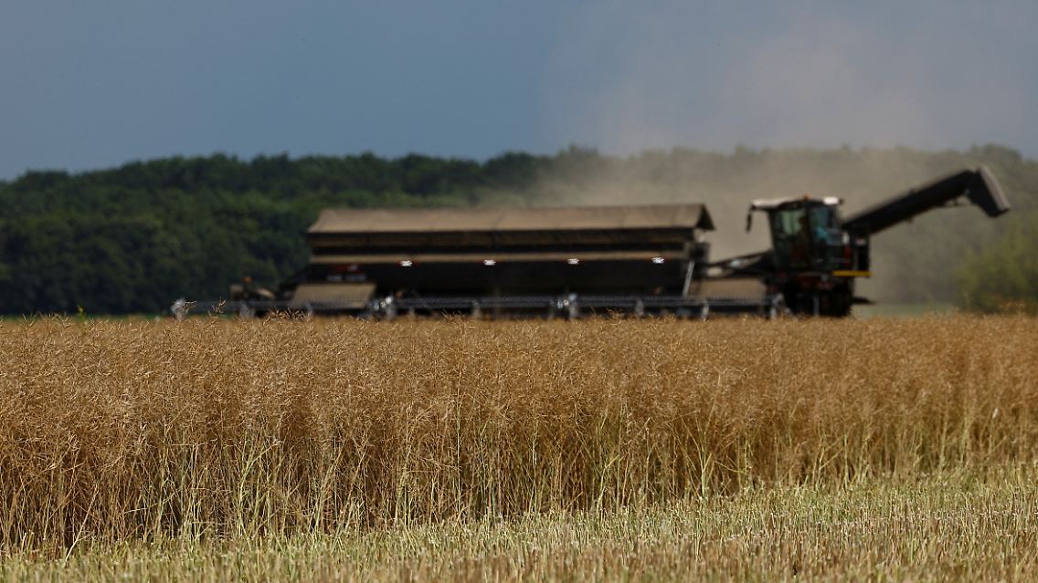 In der ukrainischen Region Cherkasy erfolgte die Ernte im Sommer 2023 unter drohendem Beschuss.