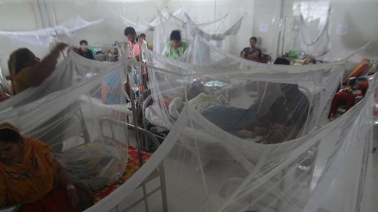 Bereits Mitte September dieses Jahres müssen viele Infizierte im Krankenhaus, wie hier im Shaheed Suhrawardy Medical College & Hospital in Dhaka behandelt werden.