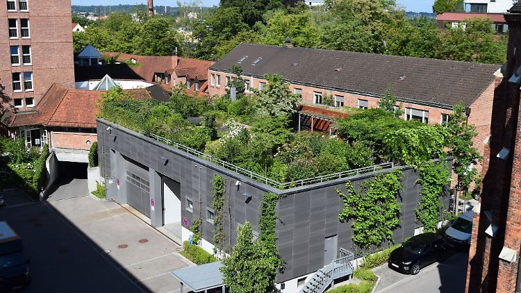 Begehbares Grün in der Stadt: so kann es aussehen. 