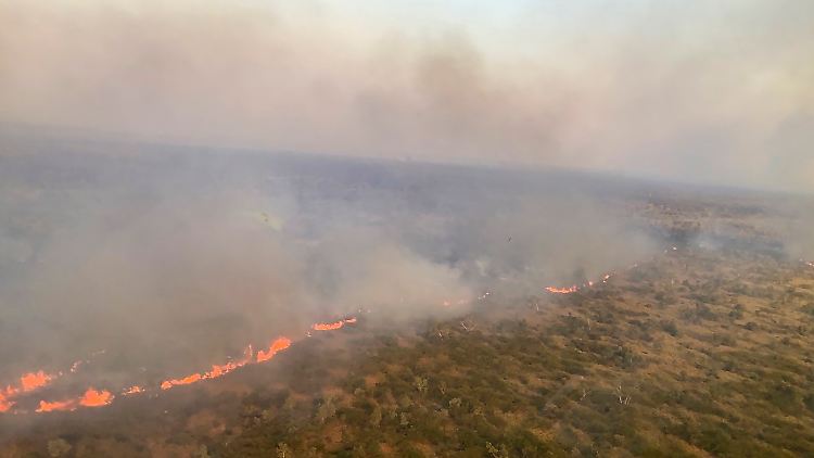 Premierminister Albanese: "Wir können das Ausmaß, das diese Feuer haben, sehen, wir können es riechen"
