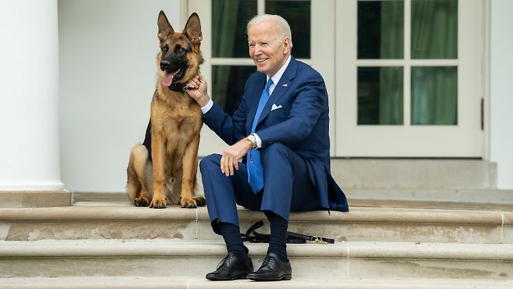 Biden und Commander gehen getrennte Wege.
