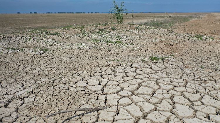 Die große Hitze im September führte an vielen Orten weltweit, wie hier in China, zu Dürre. 