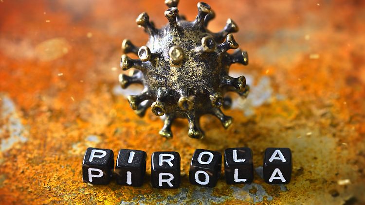 Pirola hat mit mehr als 30 Mutationen ungewöhnlich viele genetische Veränderungen.