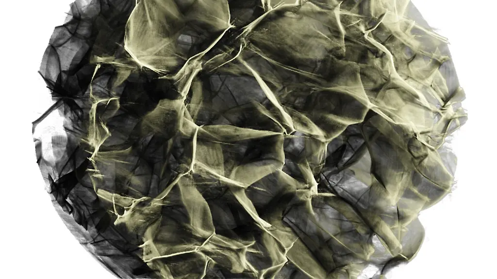 ACHTUNG-Frei-nur-im-Zusammenhang-mit-der-Berichterstattung-ueber-die-Studie