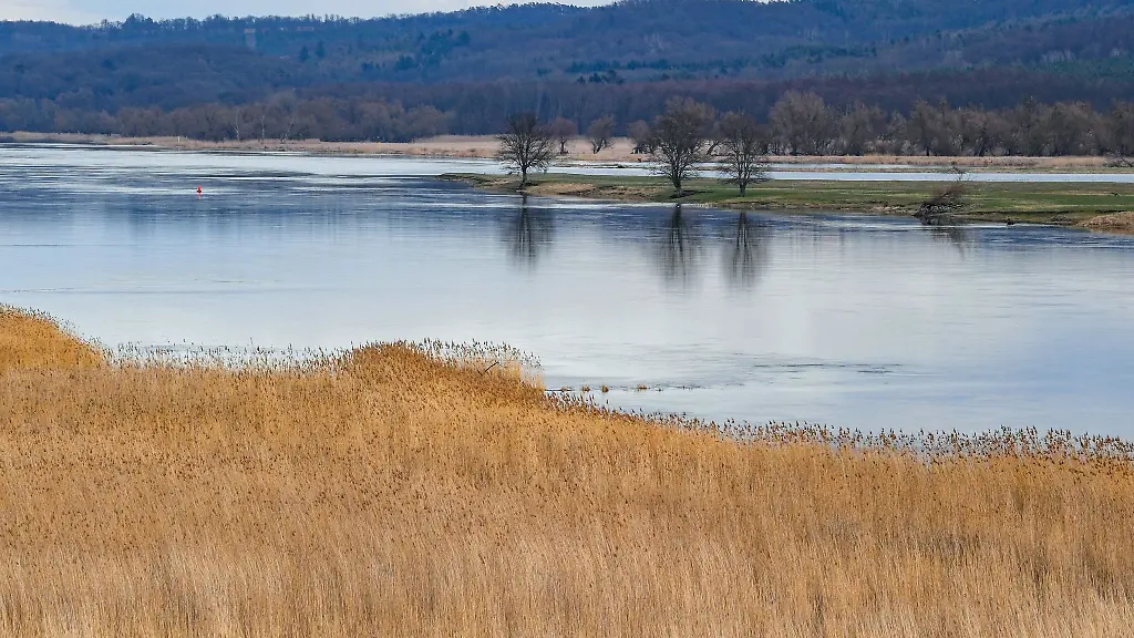 Der-Nationalpark-Unteres-Odertal-am-deutsch-polnischen-Grenzfluss-Oder