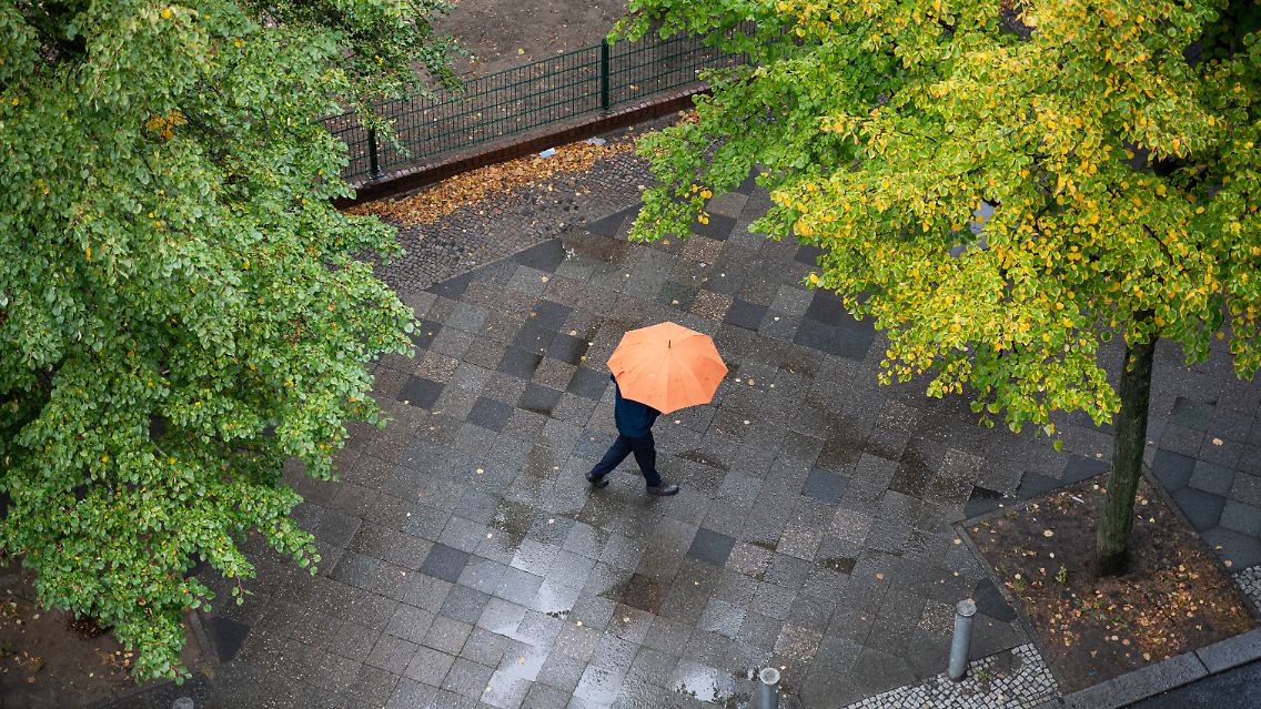 imago0307146905h.jpg