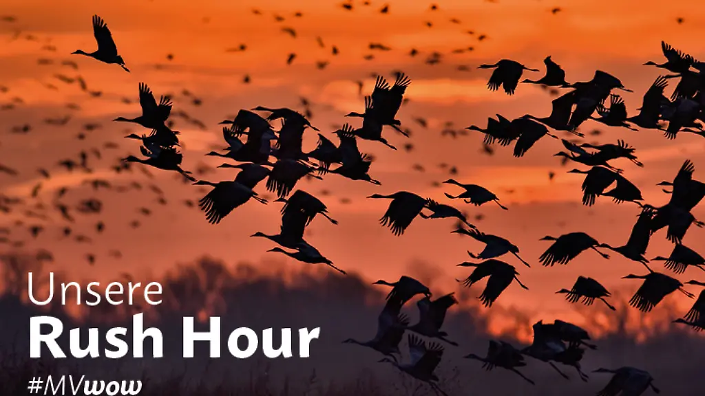 STK-LM-23-21915-07-Kampagne-MVwow-RushHour-Q