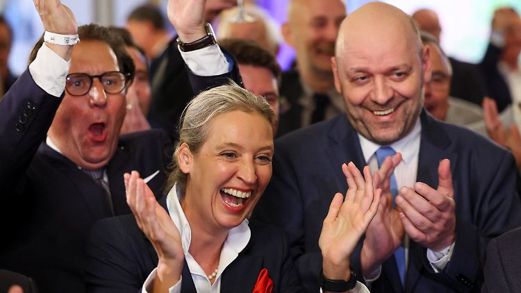 Die AfD legte in Hessen und Bayern um mehrere Prozentpunkte zu - das gelang keiner anderen Partei. Die Rechten sind in Deutschland im Aufwind - das gehört zu den Erkenntnissen des Wahlabends. 