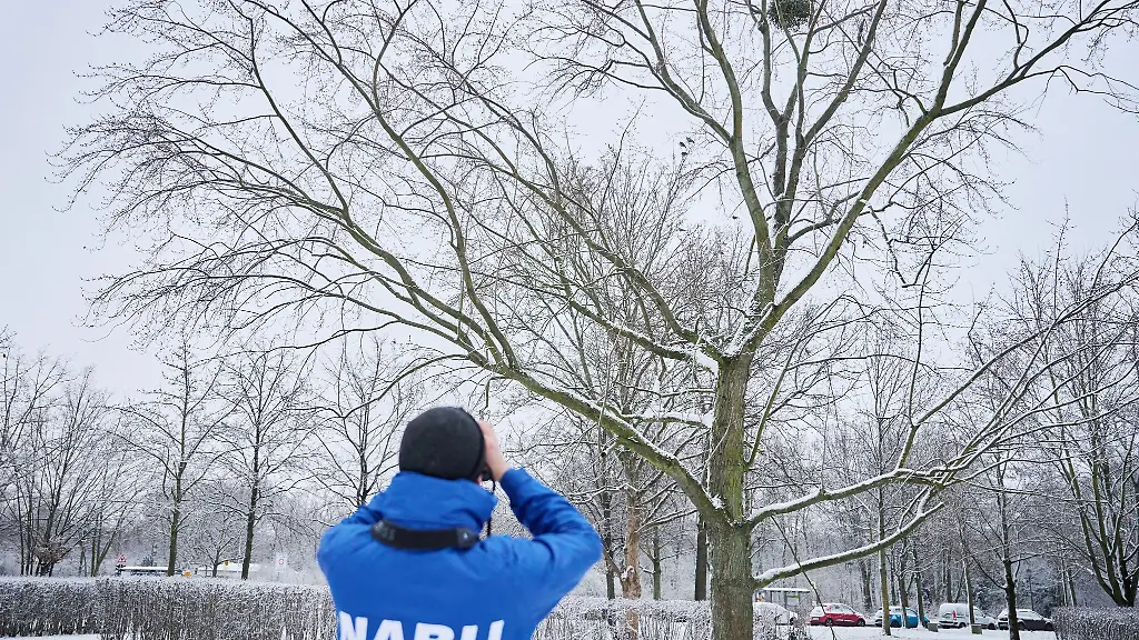 Ein-Vogelschutzexperte-sucht-mit-seinem-Fernglas-Voegel