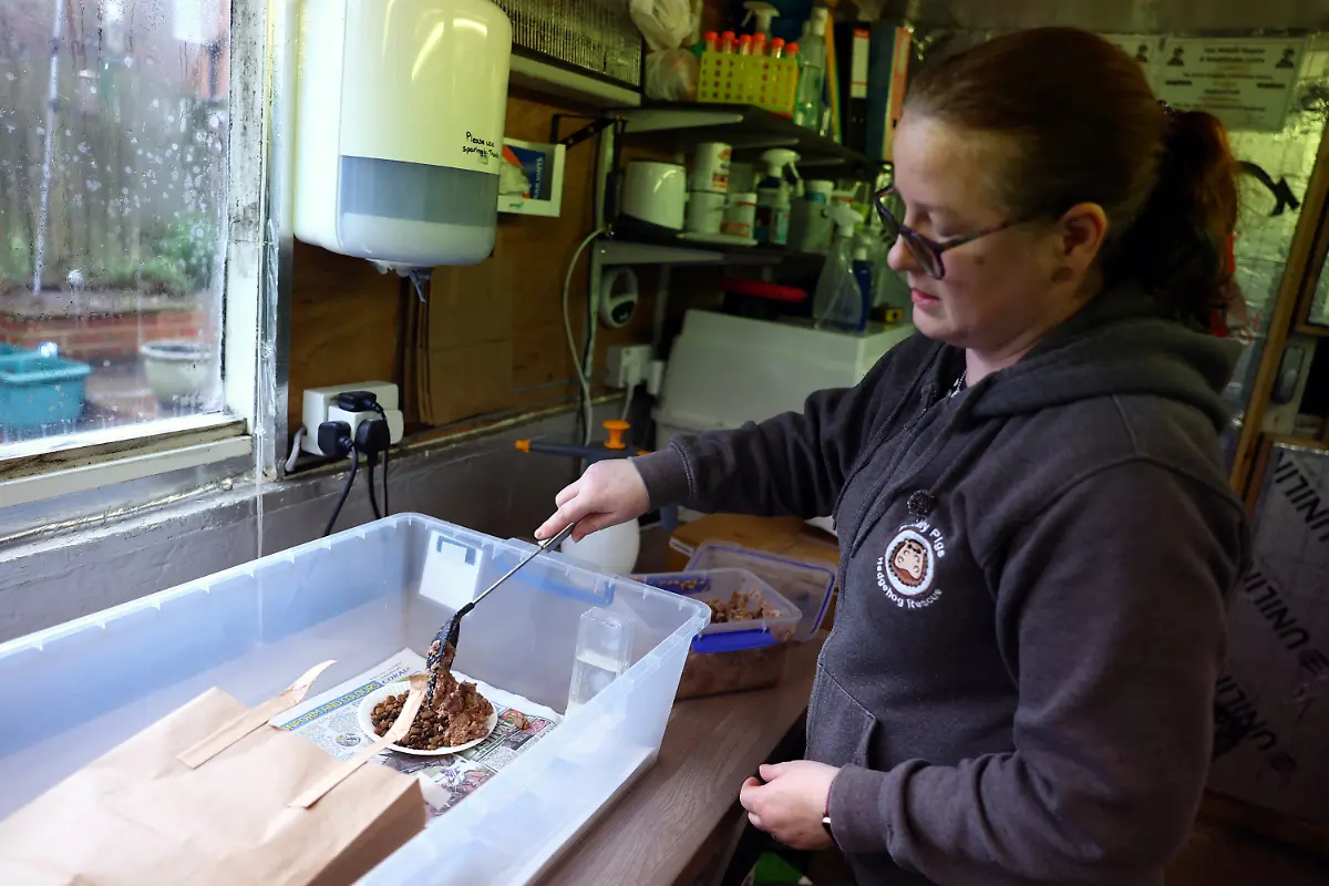 2024-01-04T084622Z-1658712085-RC2BA5A86LRB-RTRMADP-3-BRITAIN-WEATHER-HEDGEHOGS