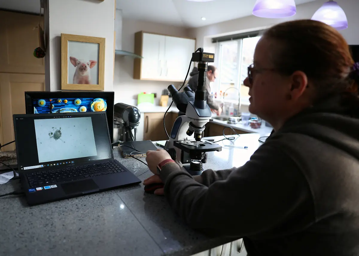 2024-01-04T084510Z-290051403-RC2CA5AA969V-RTRMADP-3-BRITAIN-WEATHER-HEDGEHOGS