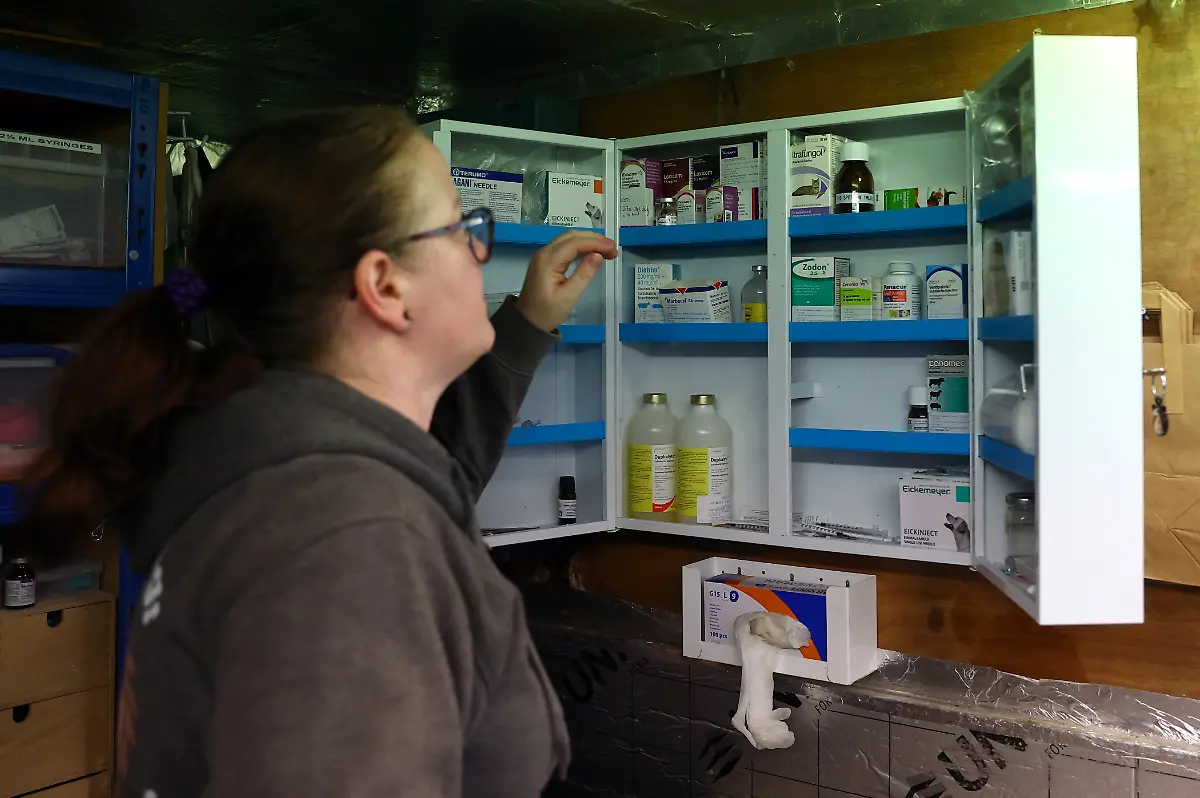 2024-01-04T084719Z-594179235-RC2BA5AKSQ6O-RTRMADP-3-BRITAIN-WEATHER-HEDGEHOGS