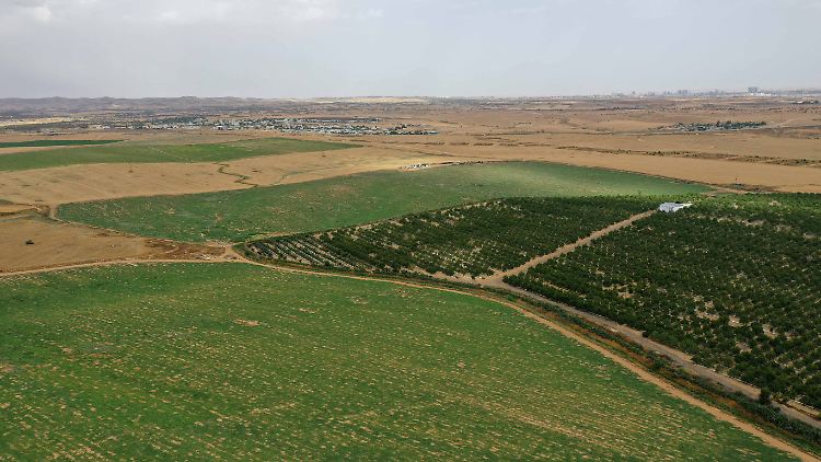 Ackerland in der Negev-Wüste.