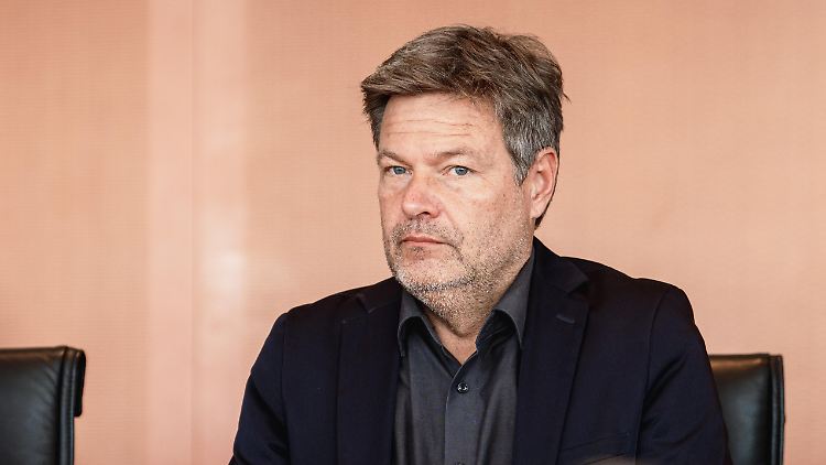 Habeck betont, dass Deutschland Zuwanderung braucht, um weiterhin Wohlstand zu generieren.