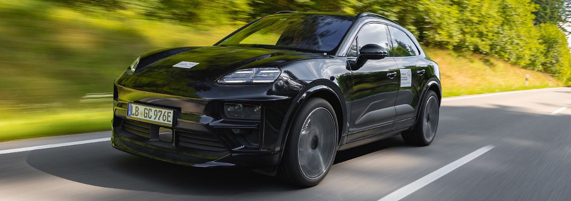 Macan_Foto1.jpg