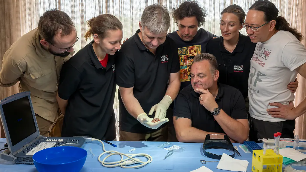 urn-binary-dpa-com-20090101-240122-911-010703-FILED