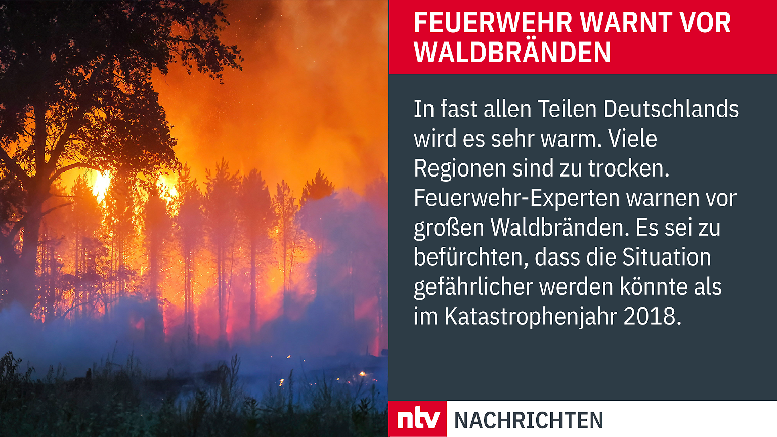 Meldung_News_ Quer_Waldbrand.png