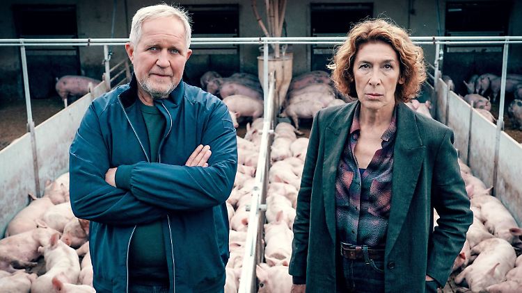 Mit diesem "Tatort" Schwein gehabt? Moritz Eisner (Harald Krassnitzer) und Bibi Fellner (Adele Neuhauser).