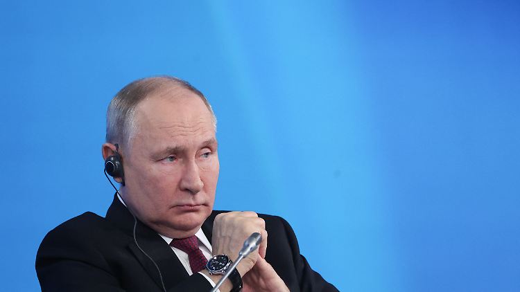 Putin kann mit einer Einmischung in den Israel-Krieg von der russischen Invasion in die Ukraine ablenken, so Sevkurs Überzeugung.