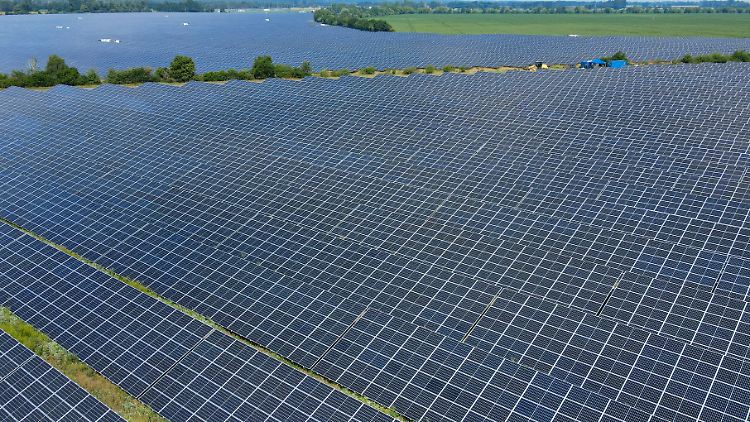 Die beiden Solarparks von EnBW in Brandenburg - hier bei Gottesgabe im Oderbruch - haben eine gemeinsame Leistung von 300 Megawatt. 