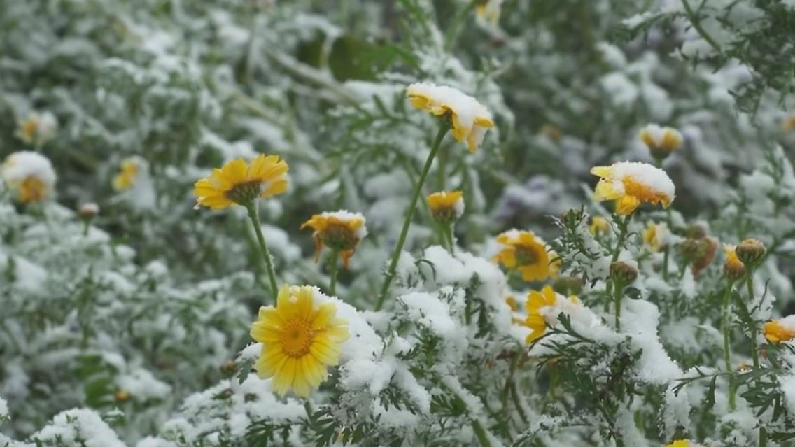 wintereinbruch.JPG