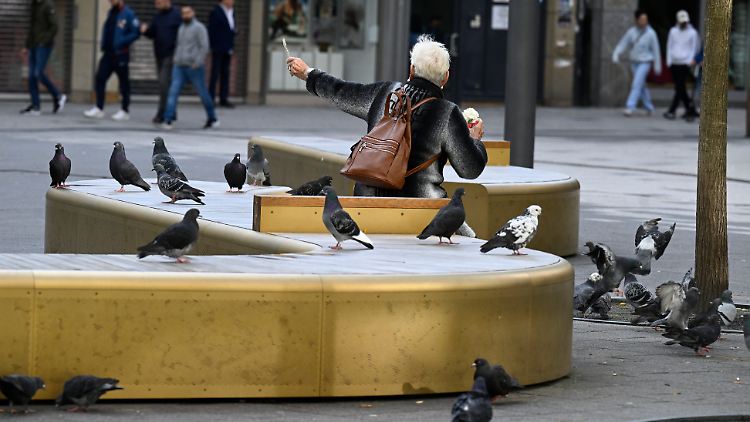 Die güldenen Bänke von Wuppertal: Teuer, bei Tauben beliebt, bei Menschen weniger, dafür aber bereits Gegenstand in einer Satiresendung - und: vom Bund der Steuerzahler kritisiert. 