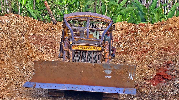 Illegale Abholzung auf Sulawesi, Indonesien: Für die Gummiherstellung wird weit mehr Regenwald gerodet, als bisher bekannt war.