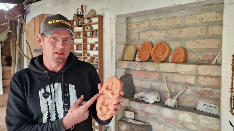Wernicke kann die Pfotenabdrücke auch zeigen, wenn man keinen Wolf trifft.