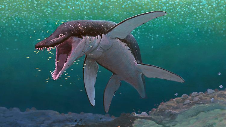 Grafik eines Lorrainosaurus.