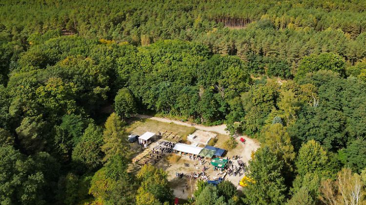 Mitten im Wald: An der Stelle, an der das "Fest des Dankes" zelebriert wurde, soll das Kloster "Maria Friedenshort" entstehen.