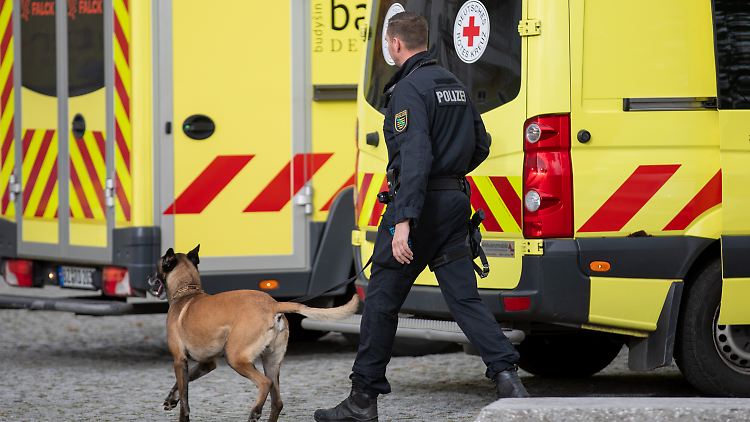 Die Polizei durchsucht mit einem Bombenspürhund eine Schule im sächsischen Pulsnitz.