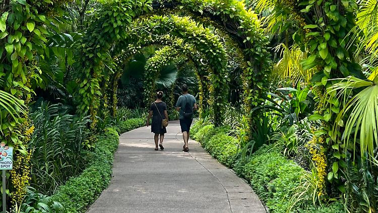 Schon jetzt gibt es in Singapur viele Parks. Das Ziel für die Zukunft: Niemand soll weiter als zehn Minuten Fußweg von einem Park entfernt wohnen.
